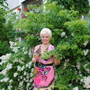  ,   , 65 ,   ,   , c 