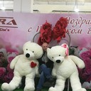   ,   , 41 ,   ,   , c 