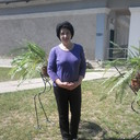 ���������� ���������, ���� ������� �����, 51 ���, ������������ ��� ����� � ���������, c�������� ���������