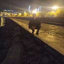 ���������� ����, ���� ����� �����, 25 ���, ������������ ��� ������, ����� � ���������, c�������� ���������