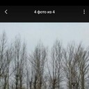 ���������� ������, ���� ������� ������, 50 ���, ������������ ��� ������, ����� � ���������, c�������� ���������