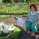  Gering,   , 73 ,   ,   , c 