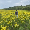 ���������� ���������, ���� ������� �����, 33 ����, ������������ ��� ������, ����� � ���������, ���������