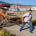  ,   Genkotik, 50 ,  