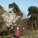 ���������� ������ ���, ���� ������� �������, 43 ����, ������������ ��� ������, ����� � ���������, c�������� ���������