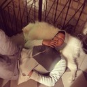 ���������� ������, ���� ������� ����, 31 ���, ������������ ��� ������, ����� � ���������, c�������� ���������, ���������