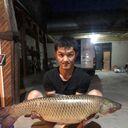 ���������� ������, ���� ����� �����, 23 ����, ������������ ��� ������, ����� � ���������