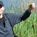 ���������� �����-���������, ���� ������� Rinat, 60 ���, ������������ ��� ������