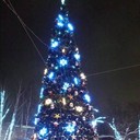 ���������� �����, ���� ������� �����, 35 ���, ������������ ��� ������, ����� � ���������, c�������� ���������