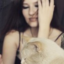 ���������� �������, ���� ������� ������, 26 ���, ������������ ��� ������, ����� � ���������, c�������� ���������