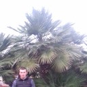 ���������� ���������, ���� ������� �����, 33 ����, ������������ ��� ����� � ���������, c�������� ���������