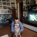 ���������� �����, ���� ������� ��������, 43 ����, ������������ ��� ����� � ���������, c�������� ���������