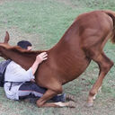 ���������� ���������, ���� ������� ����, 40 ���, ������������ ��� ������, ����� � ���������