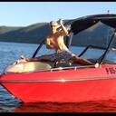 ���������� ������, ���� ������� ���������, 46 ���, ������������ ��� ������, ����� � ���������