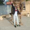  -,   , 28 ,   ,   , c , 