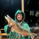 ���������� �����������, ���� ������� ��������, 44 ����, ������������ ��� ������, ����� � ���������, c�������� ���������