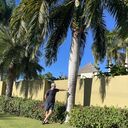 ���������� ������������, ���� ������� ����, 35 ���, ������������ ��� ������, ����� � ���������