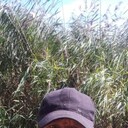 ���������� �����������, ���� ������� ��������, 57 ���, ������������ ��� ������, ����� � ���������, c�������� ���������