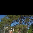 ���������� �����������, ���� ������� �����, 54 ����, ������������ ��� ������, ����� � ���������, c�������� ���������