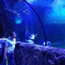 ���������� �����, ���� ������� ������, 37 ���, ������������ ��� ������