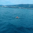 ���������� ������, ���� ������� Muxiddin, 39 ���, ������������ ��� ������, ����� � ���������, c�������� ���������