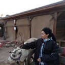 ���������� �����-���������, ���� ������� �����, 37 ���, ������������ ��� ����� � ���������, c�������� ���������