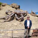 ���������� �������������-����������, ���� ������� ������, 42 ����, ������������ ��� ������, ����� � ���������, c�������� ���������