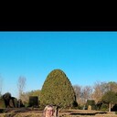 ���������� ���������, ���� ������� ���������, 41 ���, ������������ ��� ������, ����� � ���������