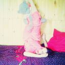 ���������� �������, ���� ������� �������, 31 ���, ������������ ��� ������, ����� � ���������, c�������� ���������