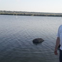 ���������� ��������, ���� ������� Kostik, 40 ���, ������������ ��� ����� � ���������, c�������� ���������