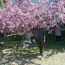 ���������� ��������, ���� ������� ��������, 38 ���, ������������ ��� ����� � ���������, c�������� ���������