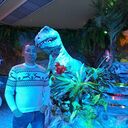  ,   , 44 ,   ,   , 