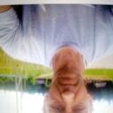 ���������� ���, ���� ������� ����, 61 ���, ������������ ��� ������, ����� � ���������