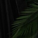 ���������� ������, ���� ������� �����, 56 ���, ������������ ��� c�������� ���������, ���������