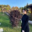 ���������� ������, ���� ������� �����, 25 ���, ������������ ��� ����� � ���������