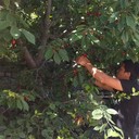 ���������� �������������, ���� ������� ������, 34 ����, ������������ 