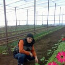 ���������� �����������, ���� ������� �����, 38 ���, ������������ ��� ������, ����� � ���������