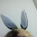 ���������� ������, ���� ����� ���������, 24 ����, ������������ ��� ������, ����� � ���������, ���������