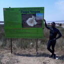 ���������� ����������, ���� ������� ��������, 43 ����, ������������ ��� ������, ����� � ���������