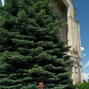  ,   ARMEN, 32 ,   ,   , c 