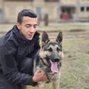 ���������� �������, ���� ����� �������, 22 ����, ������������ ��� ������, ����� � ���������, c�������� ���������, ���������