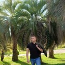 ���������� ����, ���� ������� ������, 43 ����, ������������ ��� ������, ����� � ���������, c�������� ���������