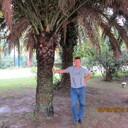 ���������� �������, ���� ������� Viasheslav, 54 ����, ������������ ��� ������, ����� � ���������, c�������� ���������, ���������