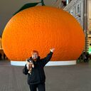 ���������� ������, ���� ������� ��������, 51 ���, ������������ ��� c�������� ���������