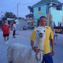  ,   , 43 ,     , c 