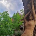 ���������� ������������, ���� ������� �����, 49 ���, ������������ ��� ������, ����� � ���������, c�������� ���������