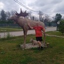 ,   , 52 ,   ,   