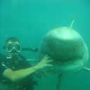 ���������� �������-����������, ���� ������� ��������, 39 ���, ������������ ��� ������, ����� � ���������, c�������� ���������, ���������