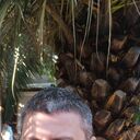  ,   , 36 ,   ,   