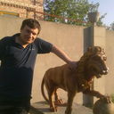  ,   Maks, 42 ,   , 